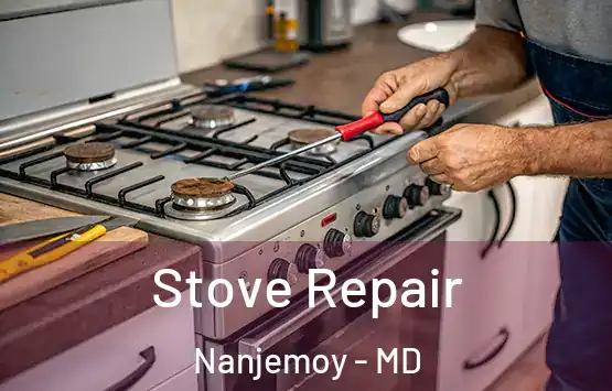  Stove Repair Nanjemoy - MD