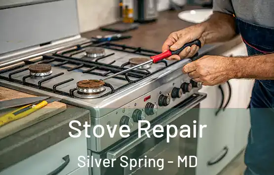  Stove Repair Silver Spring - MD
