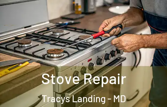  Stove Repair Tracys Landing - MD
