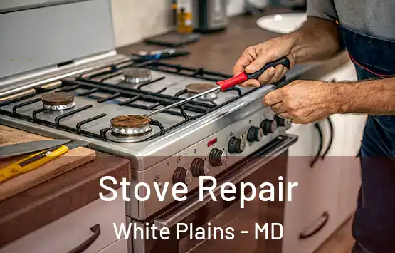  Stove Repair White Plains - MD