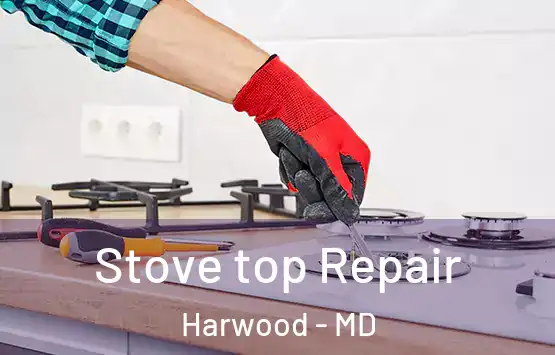  Stove top Repair Harwood - MD