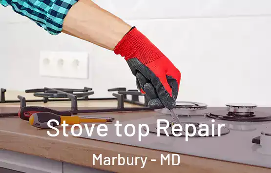  Stove top Repair Marbury - MD