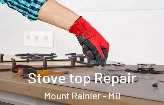  Stove top Repair Mount Rainier - MD
