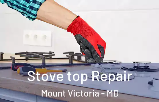  Stove top Repair Mount Victoria - MD