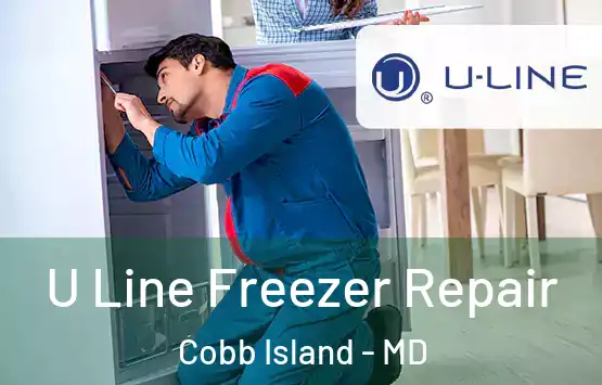  U Line Freezer Repair Cobb Island - MD