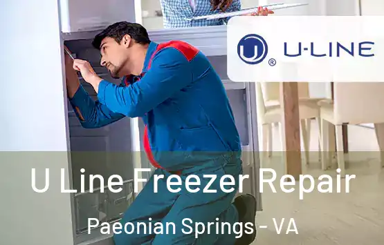  U Line Freezer Repair Paeonian Springs - VA