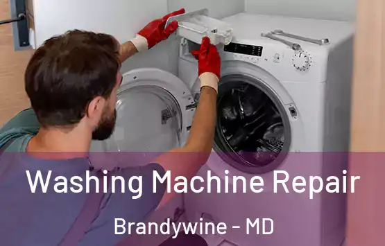  Washing Machine Repair Brandywine - MD