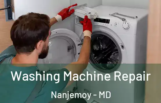  Washing Machine Repair Nanjemoy - MD