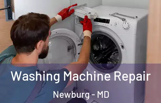  Washing Machine Repair Newburg - MD