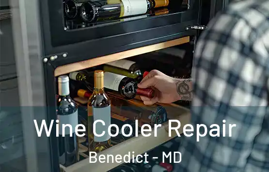  Wine Cooler Repair Benedict - MD