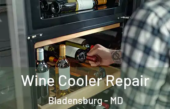 Wine Cooler Repair Bladensburg - MD