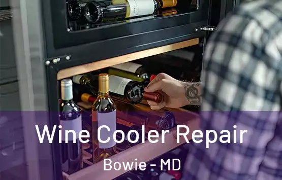  Wine Cooler Repair Bowie - MD