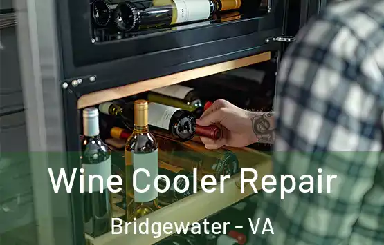  Wine Cooler Repair Bridgewater - VA