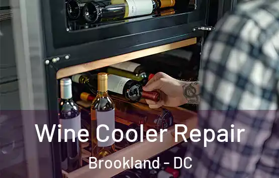  Wine Cooler Repair Brookland - DC