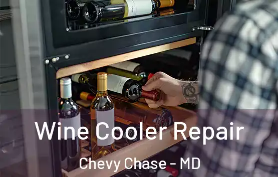  Wine Cooler Repair Chevy Chase - MD