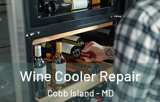  Wine Cooler Repair Cobb Island - MD