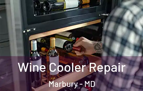  Wine Cooler Repair Marbury - MD