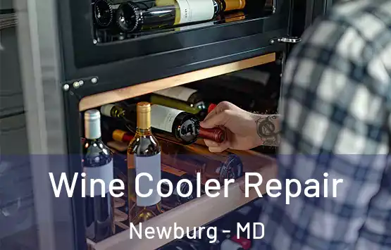  Wine Cooler Repair Newburg - MD