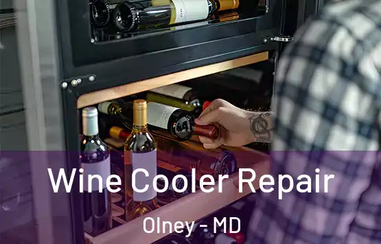  Wine Cooler Repair Olney - MD