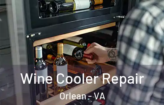  Wine Cooler Repair Orlean - VA