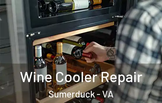  Wine Cooler Repair Sumerduck - VA
