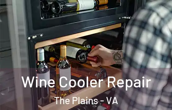  Wine Cooler Repair The Plains - VA