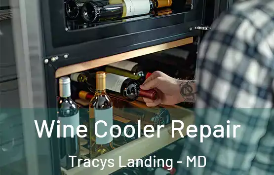  Wine Cooler Repair Tracys Landing - MD