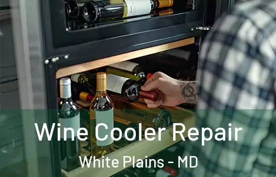 Wine Cooler Repair White Plains - MD